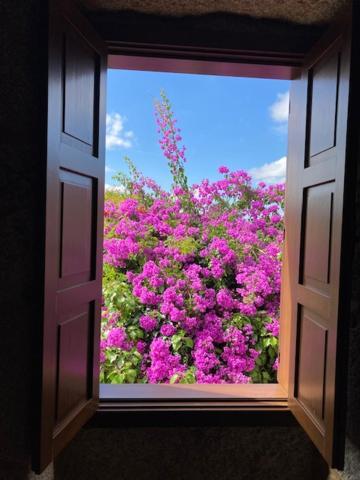 Eido Do Rei - Hospedaxe Rural Hotel Ponteareas Ngoại thất bức ảnh